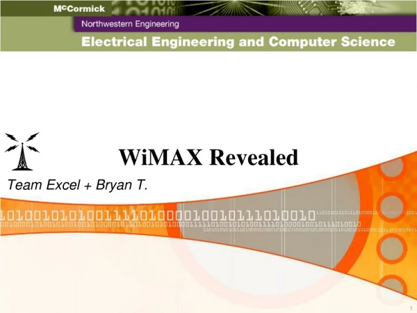 WiMAX Revealed