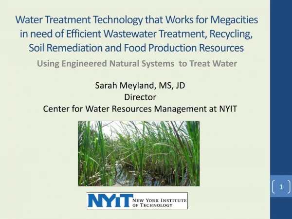 Using Engineered Natural Systems  to Treat Water