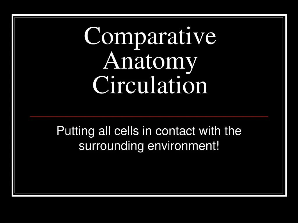 comparative anatomy circulation