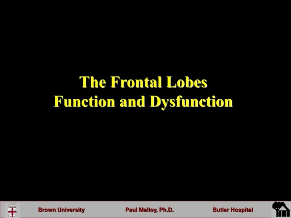 The Frontal Lobes  Function and Dysfunction