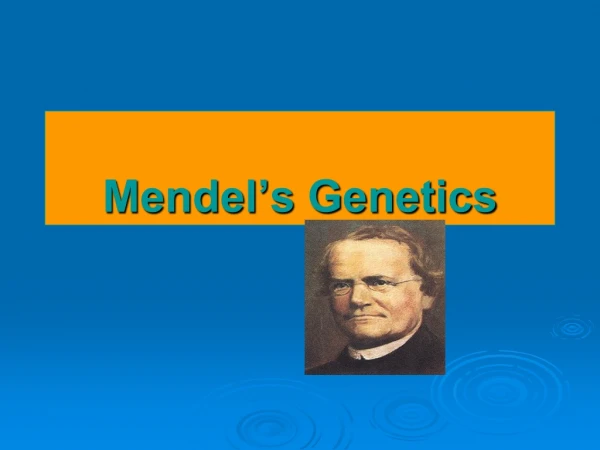 Mendel’s Genetics