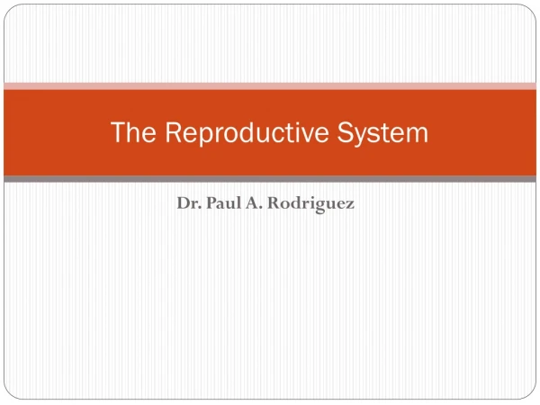 The Reproductive System