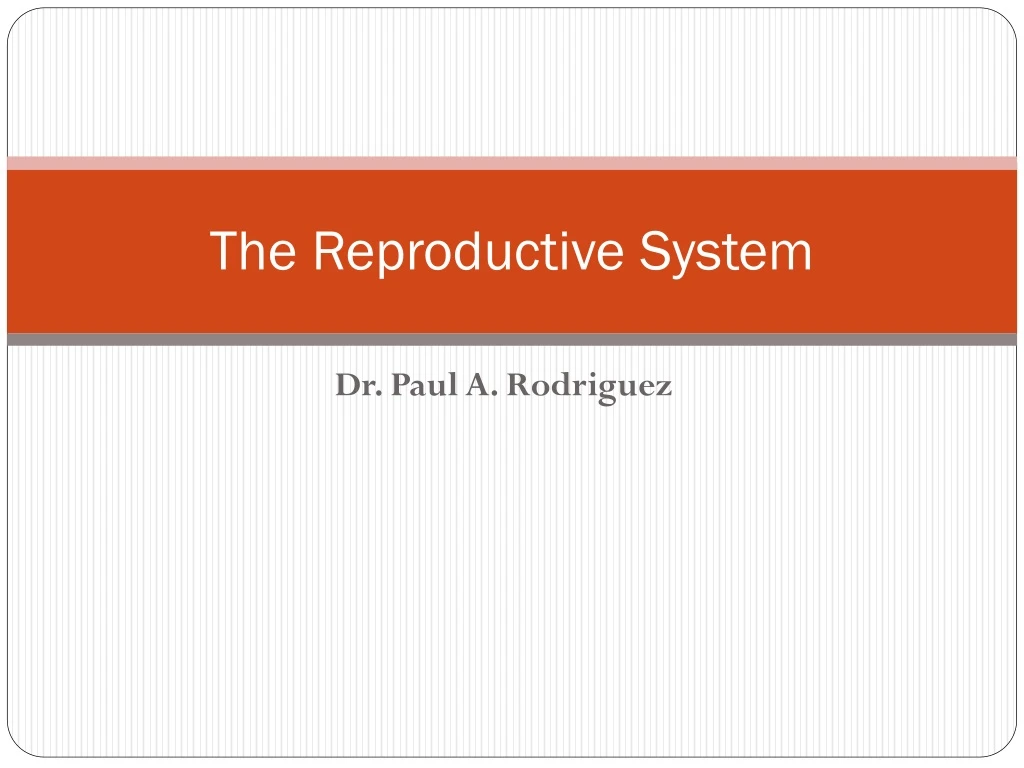 the reproductive system