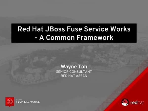 Red Hat  JBoss  Fuse Service Works - A Common Framework