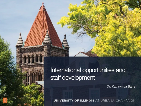 International opportunities and staff development