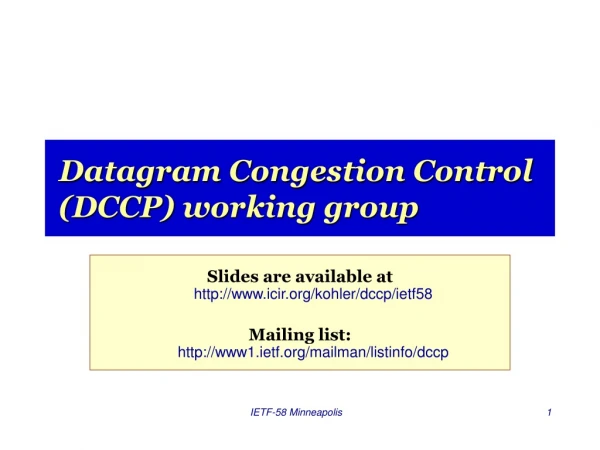 Datagram Congestion Control (DCCP) working group