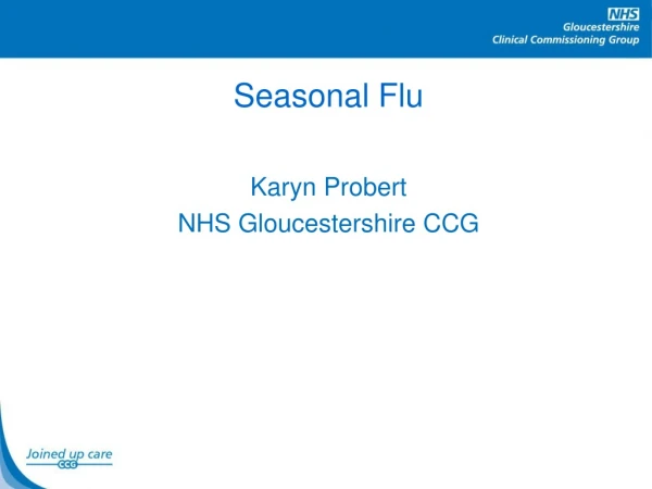 Seasonal Flu