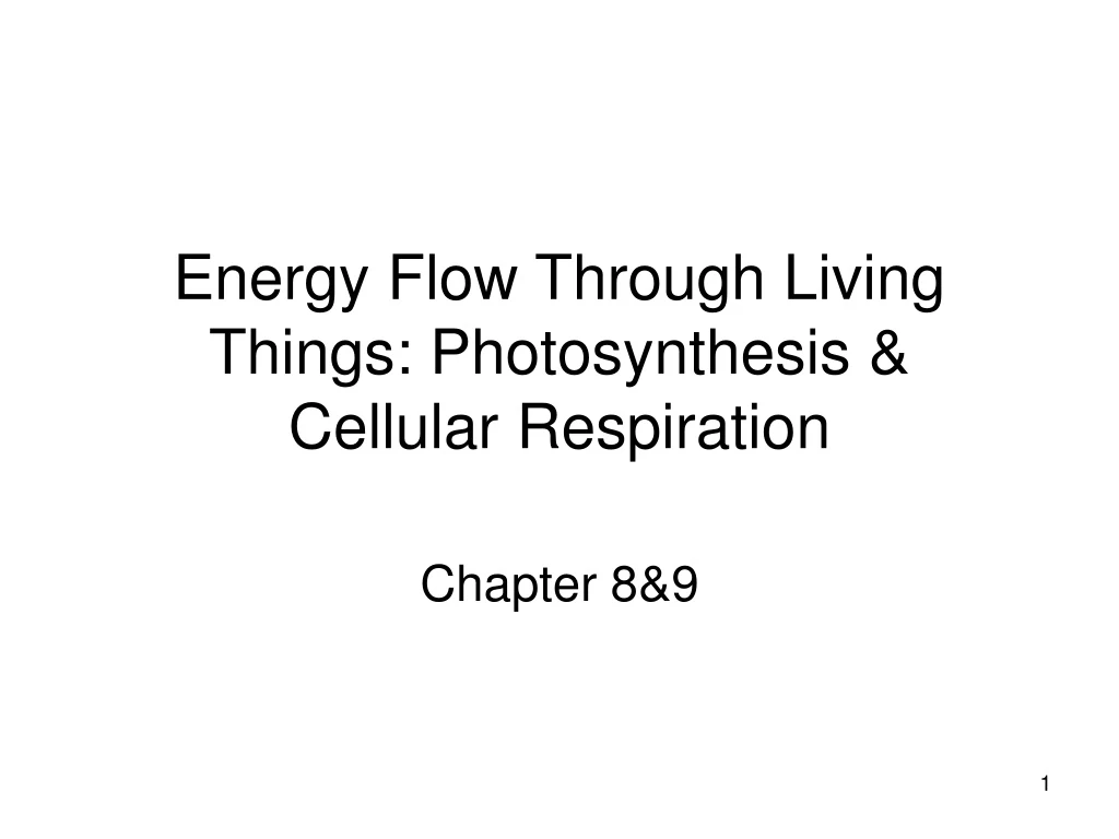 energy flow through living things photosynthesis cellular respiration