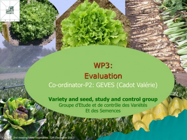 WP3:  Evaluation Co-ordinator-P2: GEVES (Cadot Valérie)