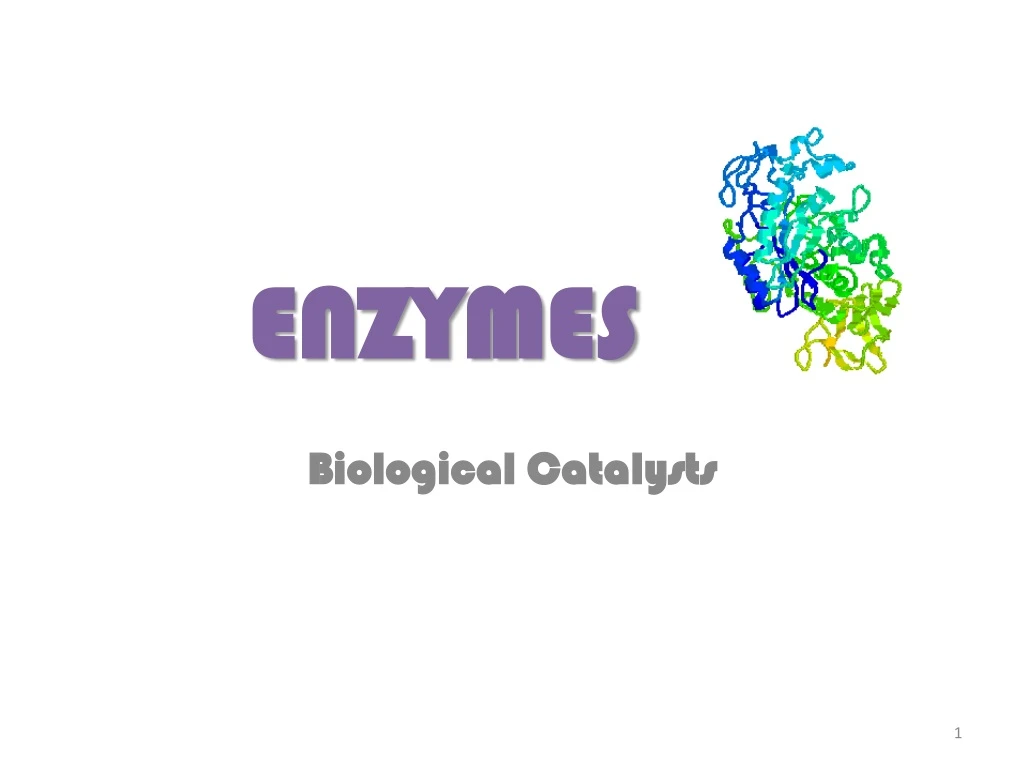 PPT - ENZYMES PowerPoint Presentation, Free Download - ID:9139285