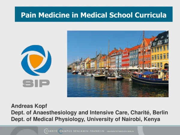Pain Medicine in Medical School Curricula