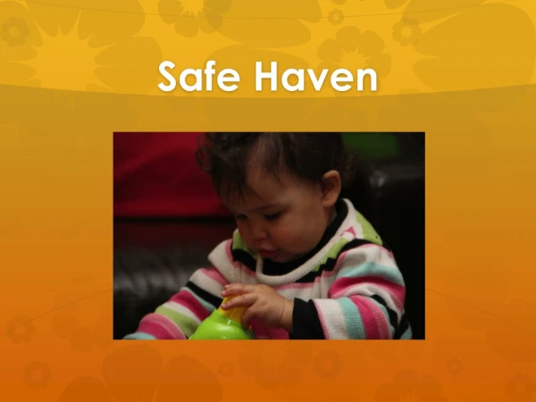 Safe Haven