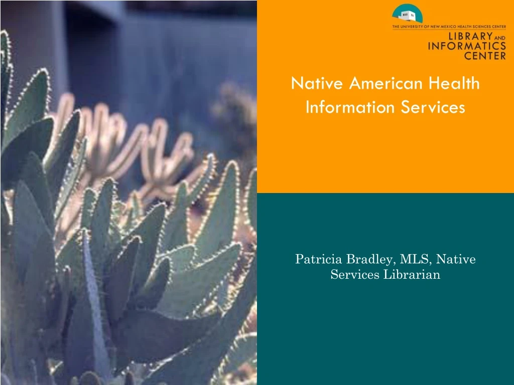 native american health information services