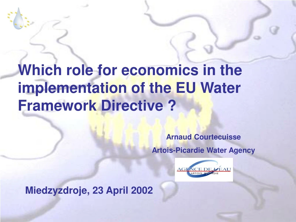 which role for economics in the implementation