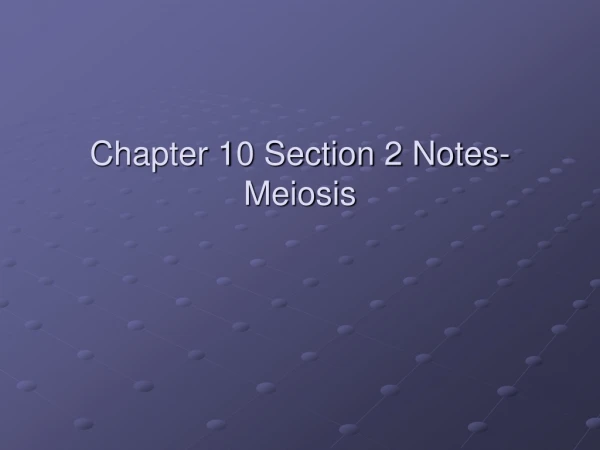 Chapter 10 Section 2 Notes- Meiosis