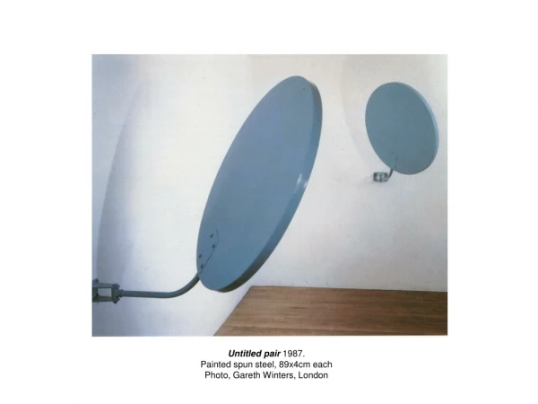 Untitled pair  1987. Painted spun steel, 89x4cm each Photo, Gareth Winters, London