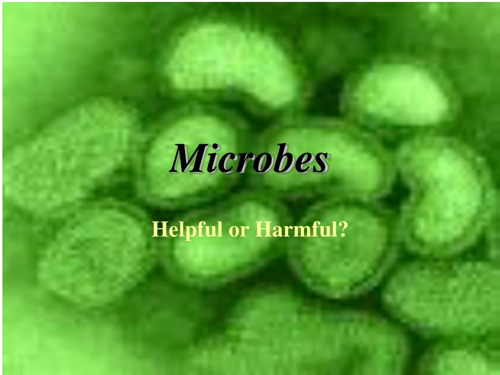 microbes