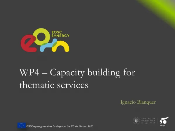 WP4 – Capacity building for thematic services