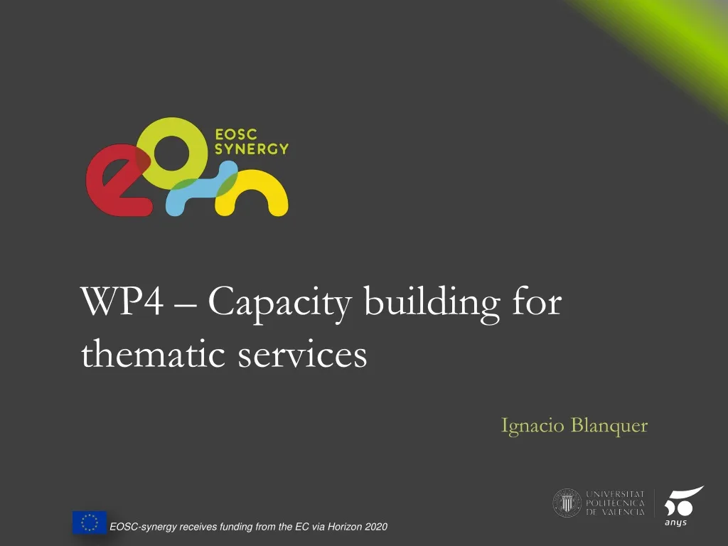 wp4 capacity building for thematic services