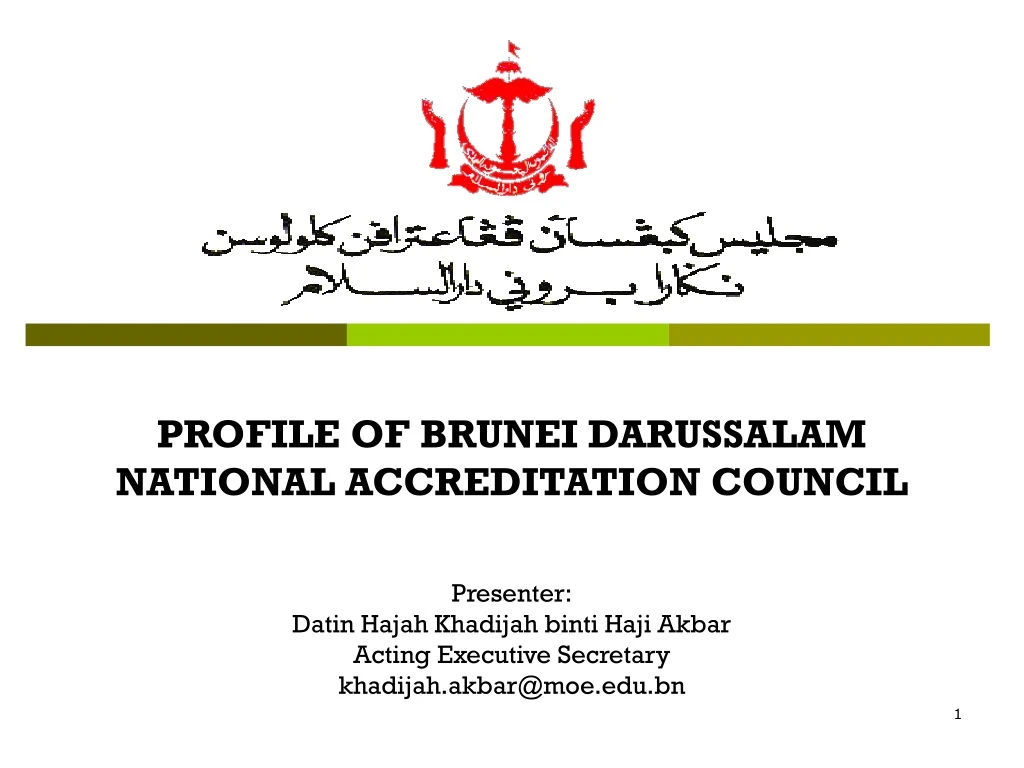 profile of brunei darussalam national