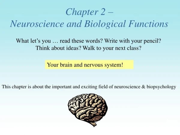 Chapter 2 –  Neuroscience and Biological Functions