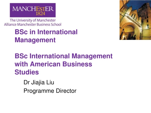 BSc in International Management BSc International Management  with American Business Studies