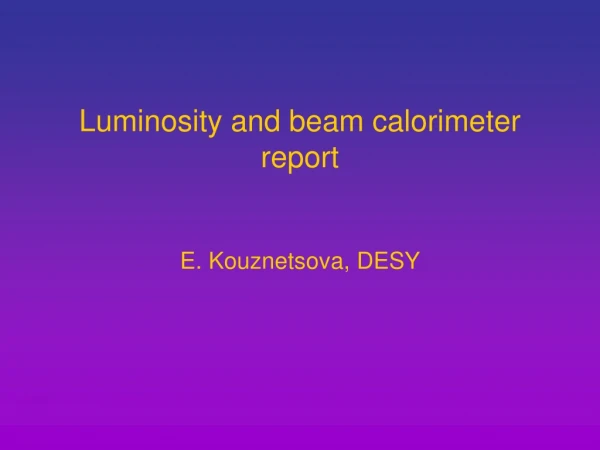 Luminosity and beam calorimeter report E. Kouznetsova, DESY