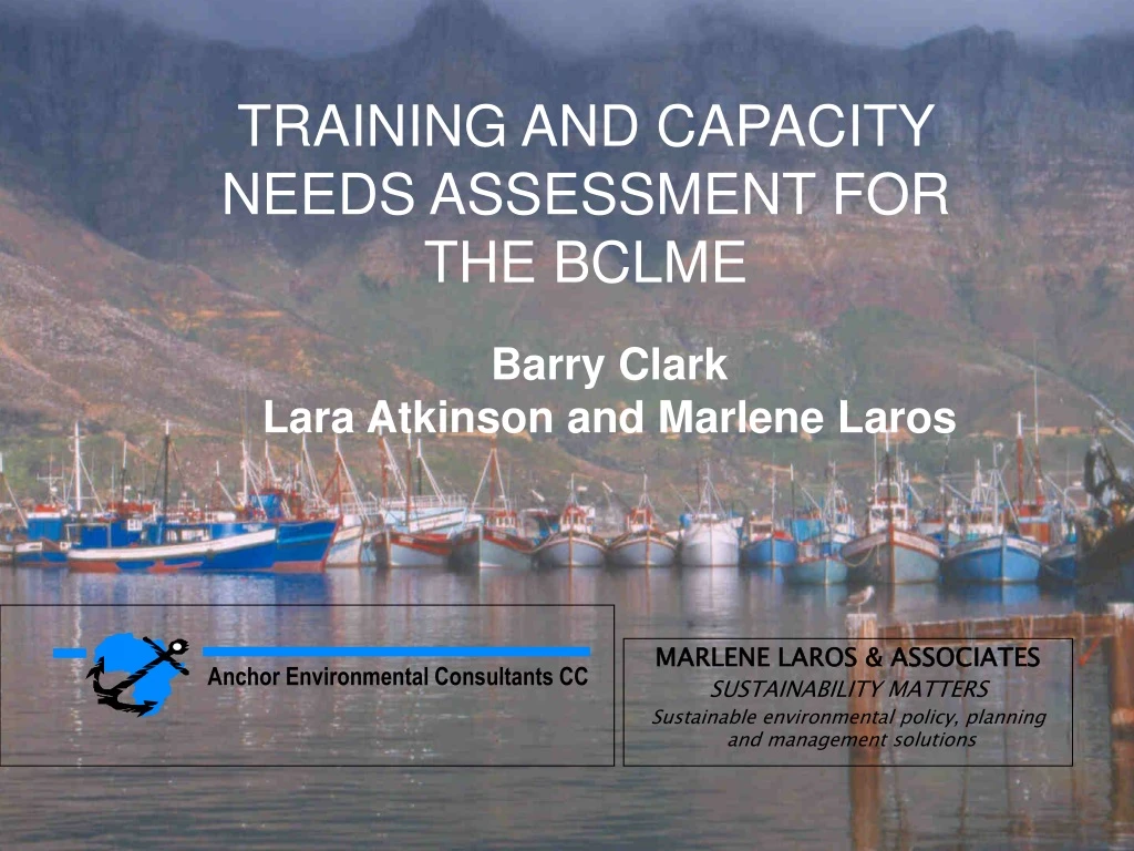 training and capacity needs assessment
