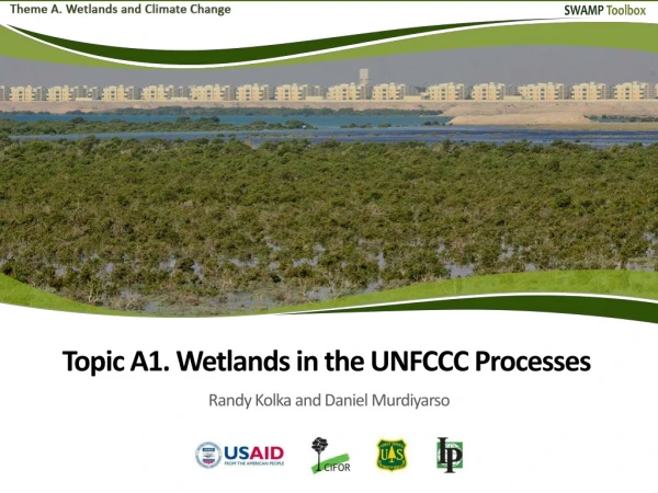 Introduction UNFCCC Processes Started from RED, REDD, and REDD+ Workshops Submissions