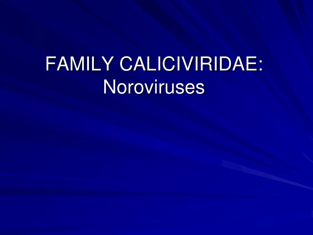 family caliciviridae noroviruses