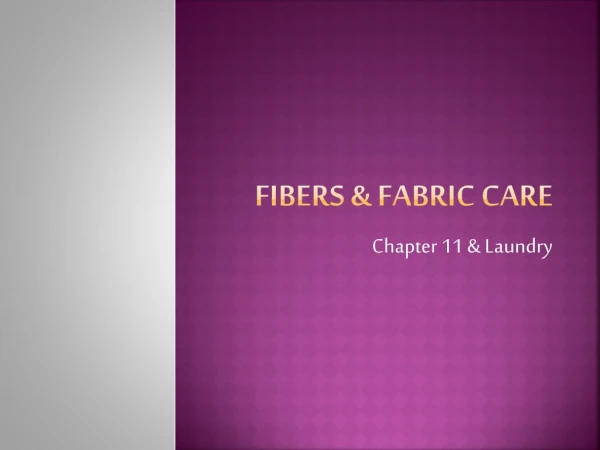 Fibers &amp; Fabric Care