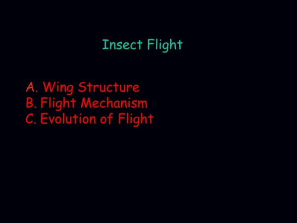Insect Flight