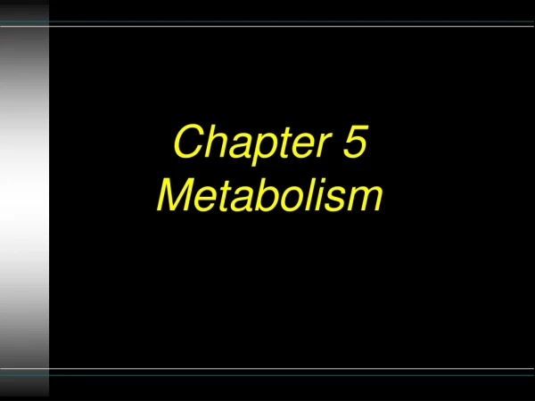 Chapter 5 Metabolism