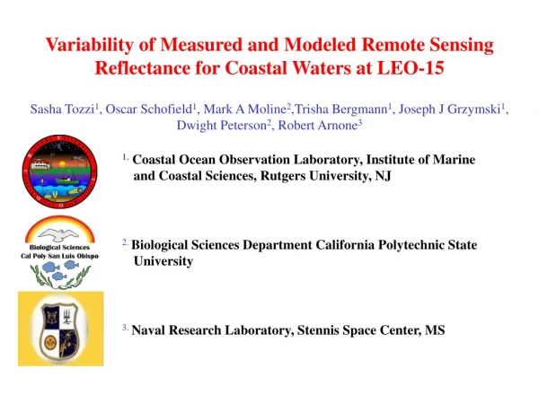 Variability of Measured and Modeled Remote Sensing Reflectance for Coastal Waters at LEO-15