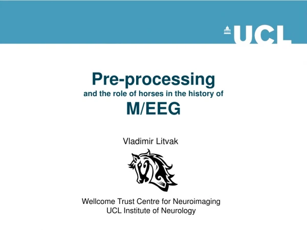 Pre-processing and the role of horses in the history of M/EEG
