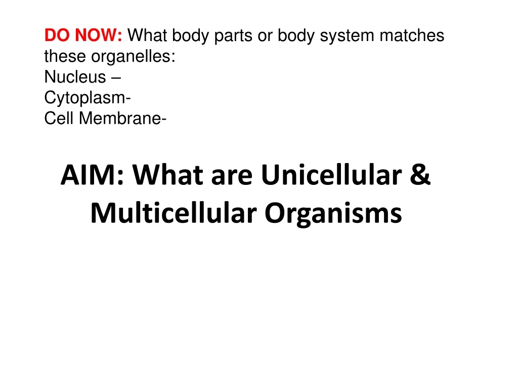 aim what are unicellular multicellular organisms