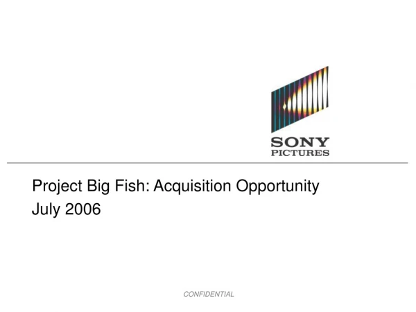 Project Big Fish: Acquisition Opportunity July 2006