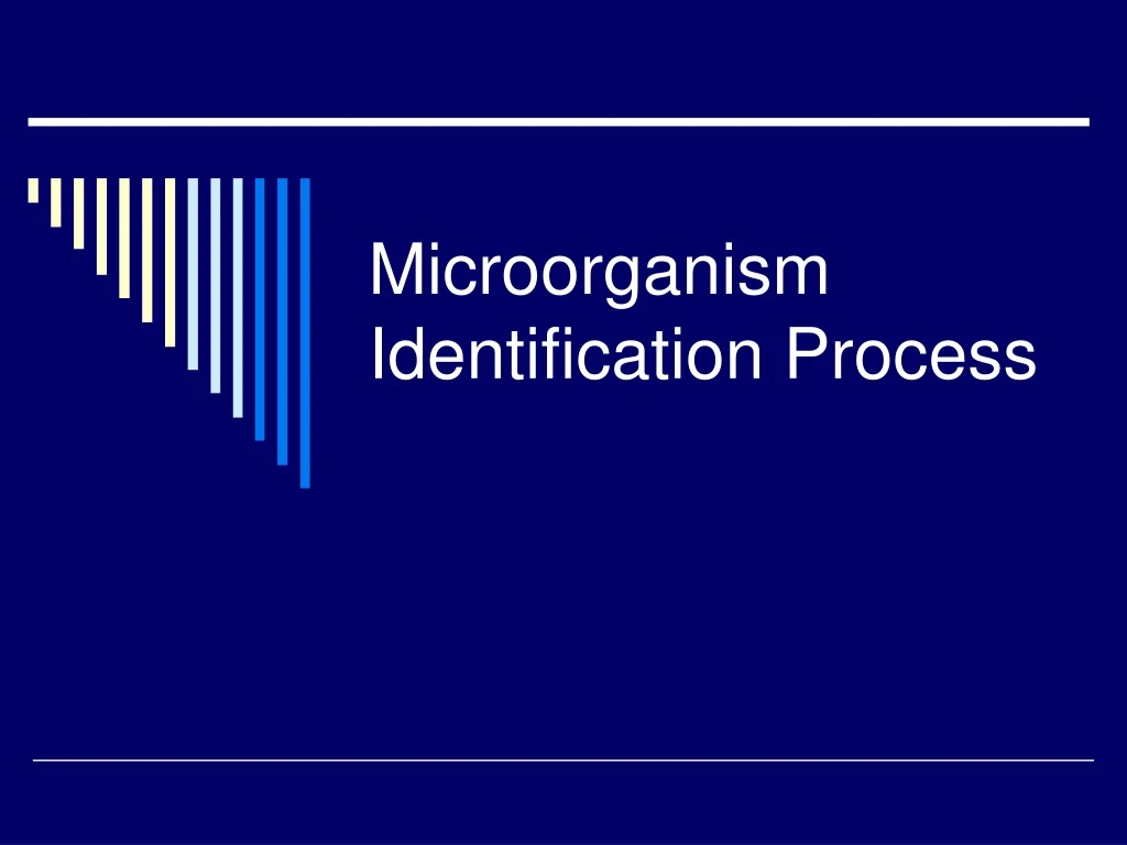 microorganism identification process