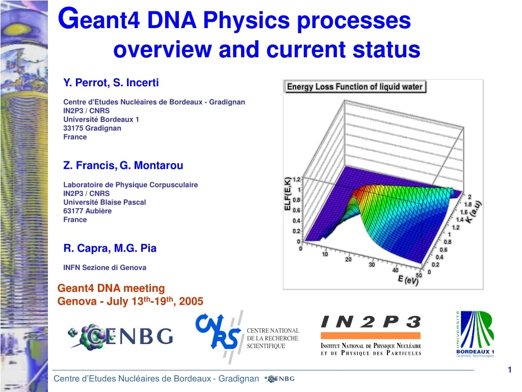 g eant4 dna physics processes overview