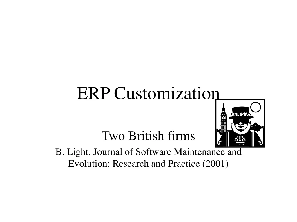 erp customization