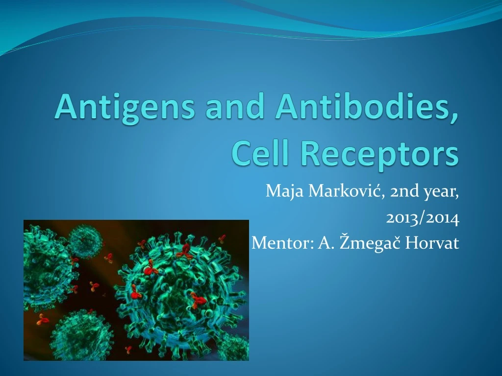antigens and antibodies cell receptors
