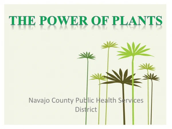 Navajo County Public Health Services District