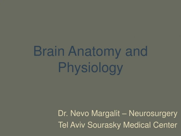 Brain Anatomy and Physiology