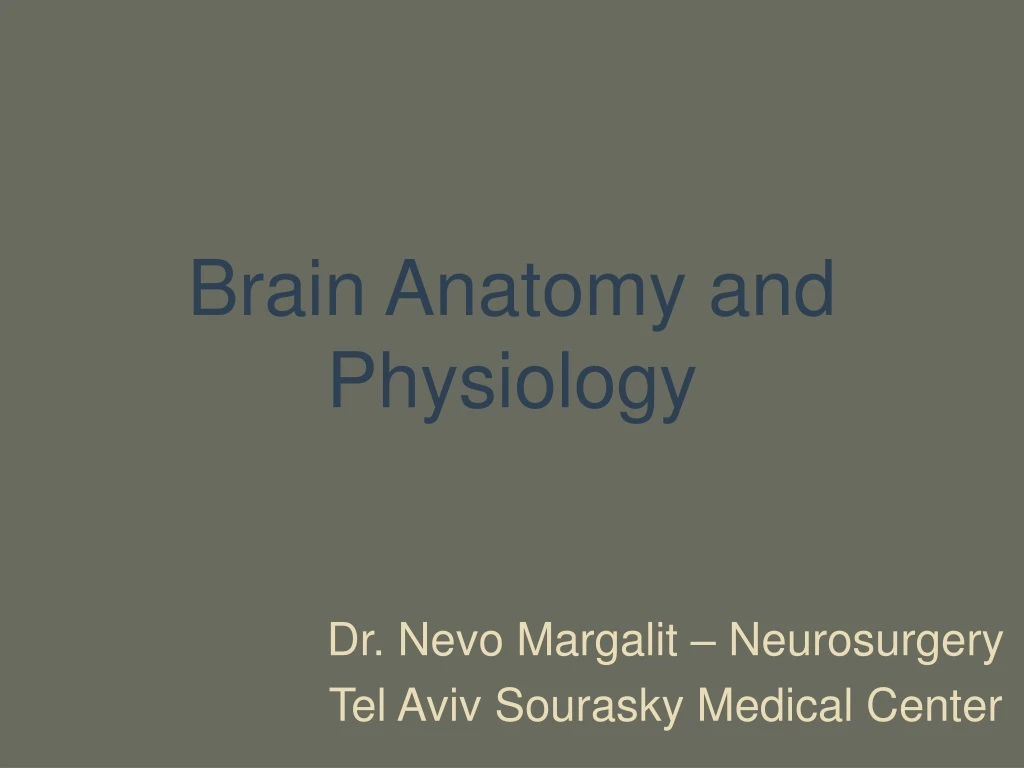 brain anatomy and physiology