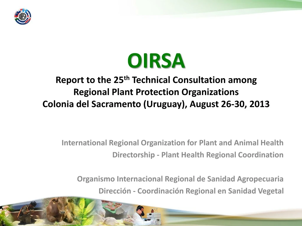 oirsa report to the 25 th technical consultation