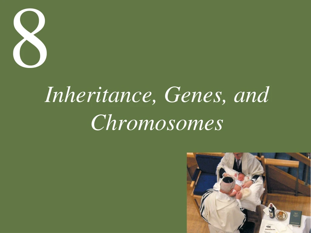 inheritance genes and chromosomes