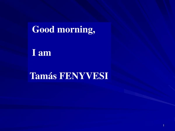 Good morning,  I am Tamás FENYVESI