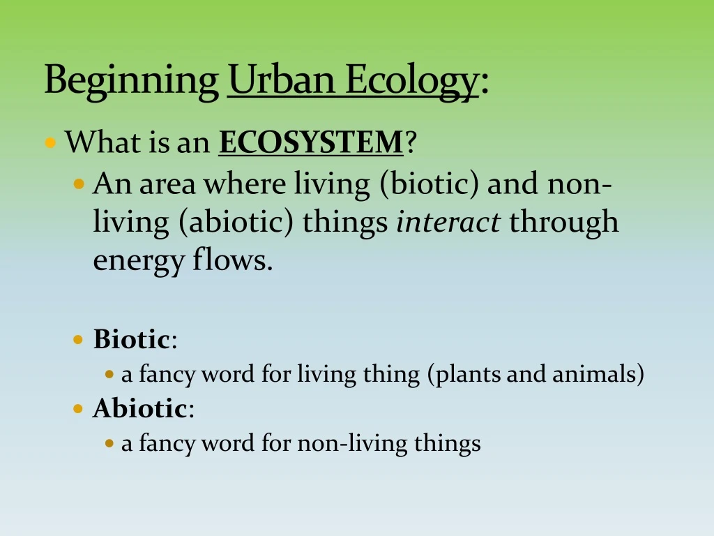 beginning urban ecology