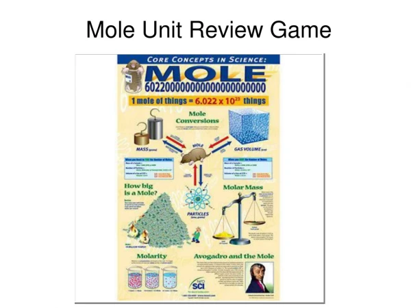 Mole Unit Review Game