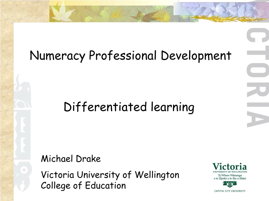 numeracy professional development